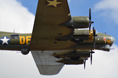 Sally B Closeup